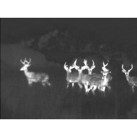 Armasight FLIR Command 336